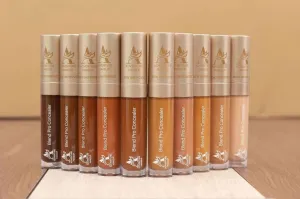 Adventure Pro Concealer