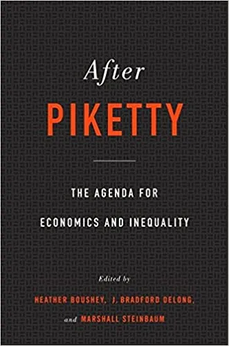 After Piketty (RARE BOOKS)