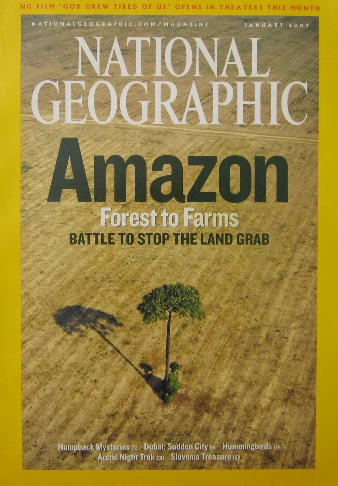 Amazon forests to farms [national geographic magazine] [rare books]