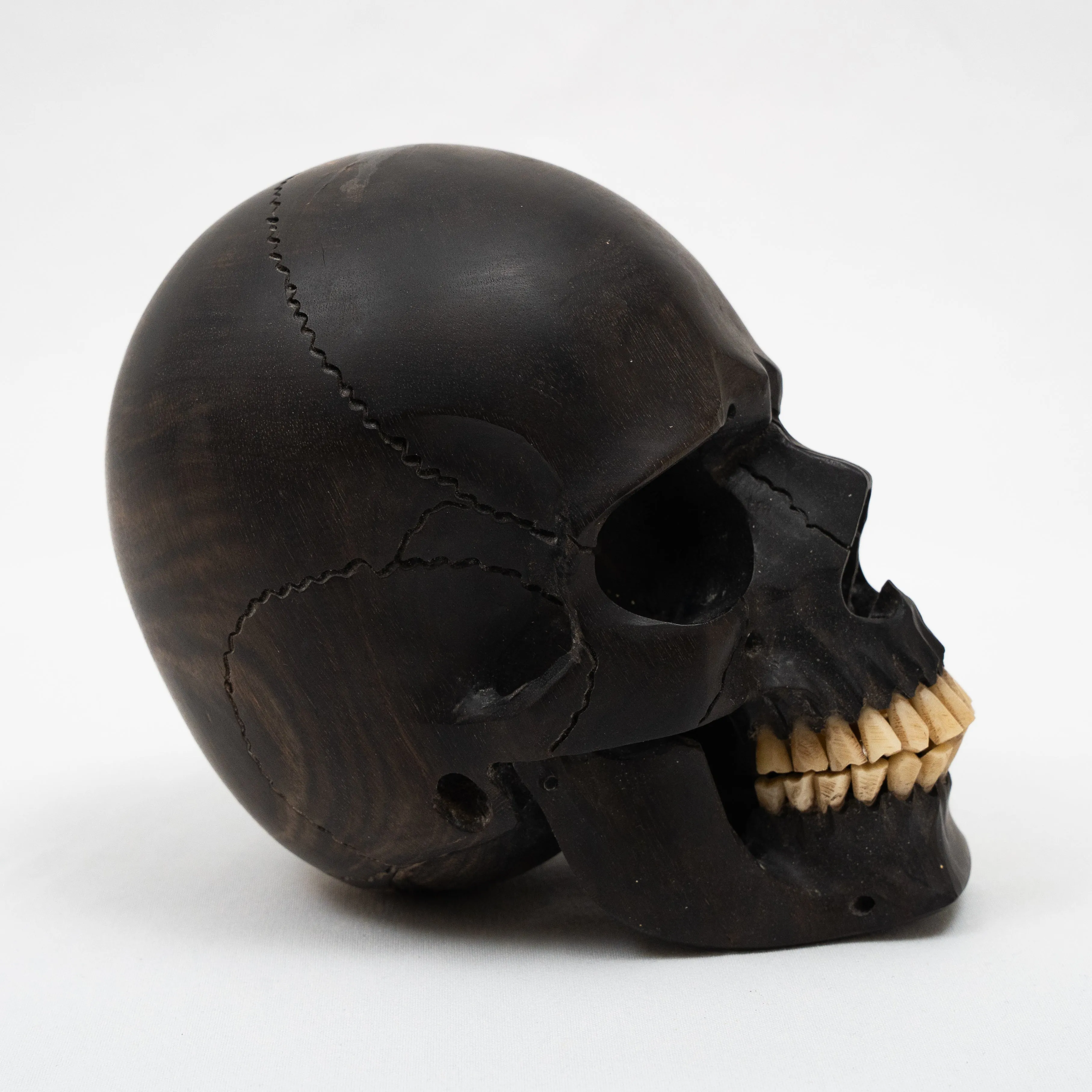 Black Ebony Wood Skull - Large 5.5" Hand Carved Human Skull Replica Skeleton Head