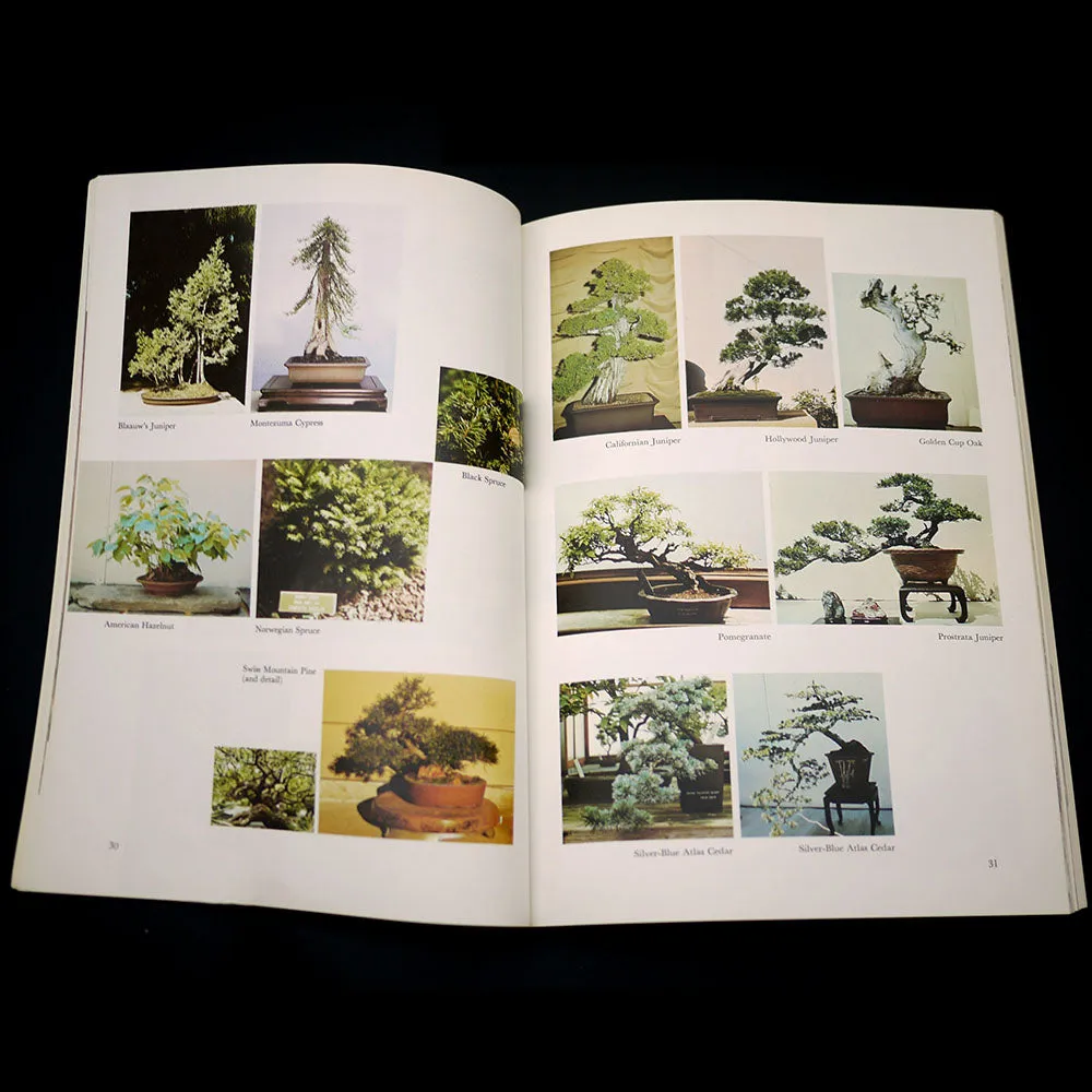 Bonsai With American Trees - Out of Print - Signed*