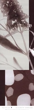 Botanica 9