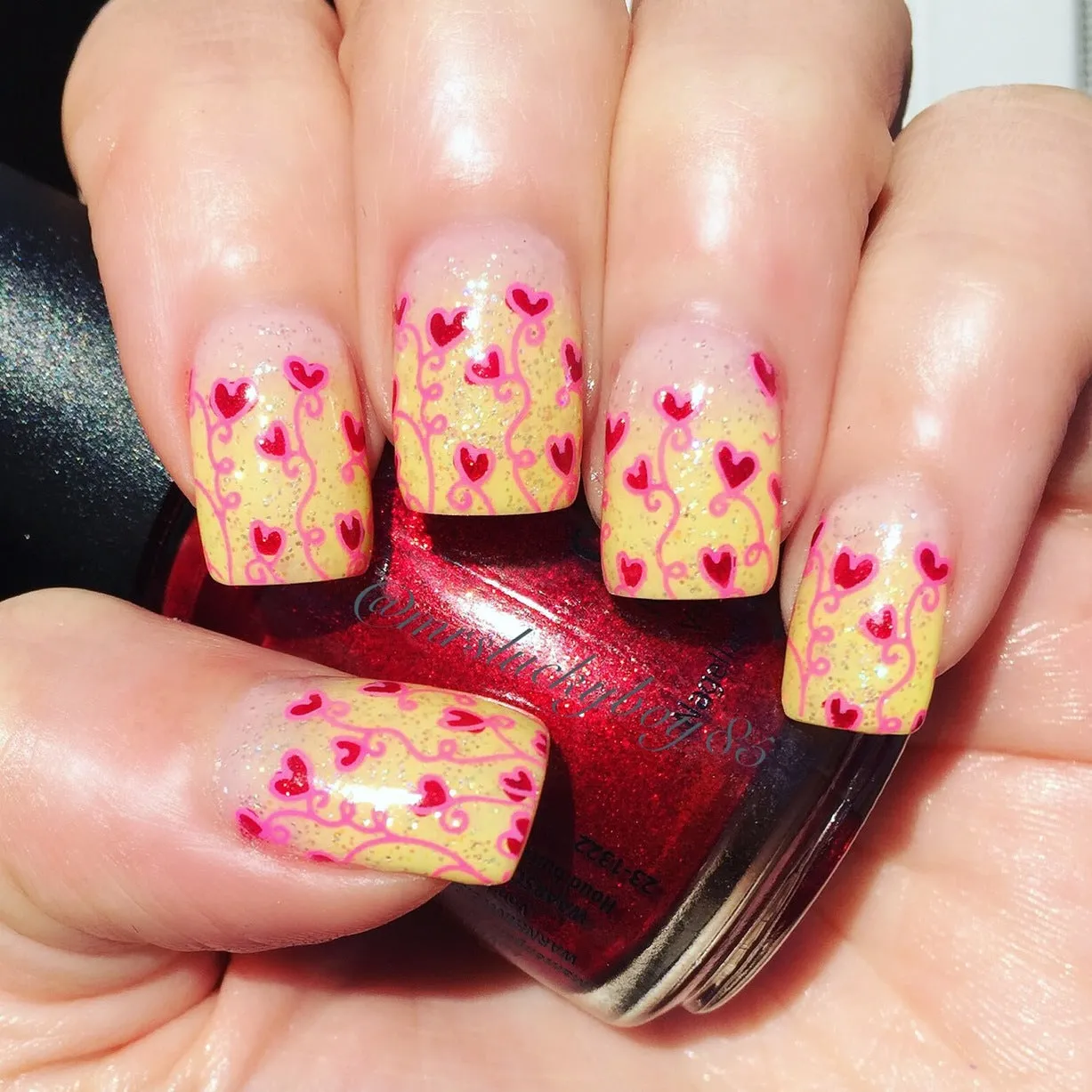 Collection 6 - Uber Chic Stamping Plates