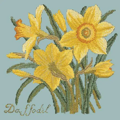Daffodil