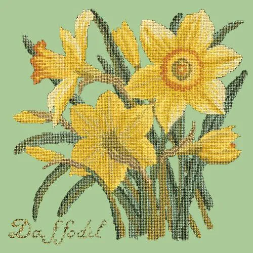Daffodil