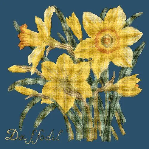 Daffodil