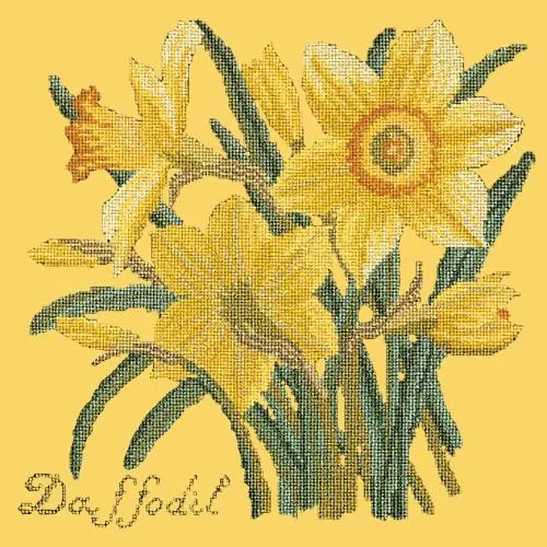 Daffodil