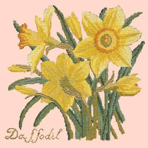 Daffodil