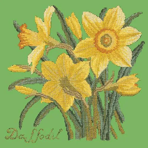 Daffodil