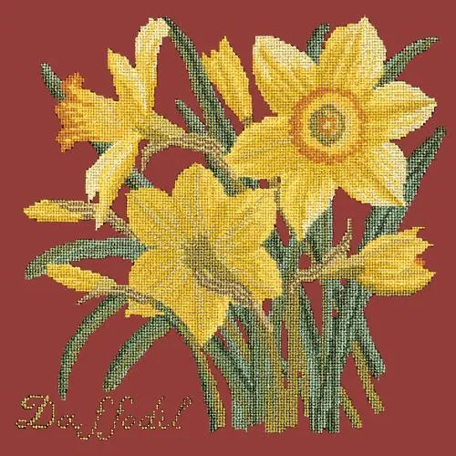 Daffodil