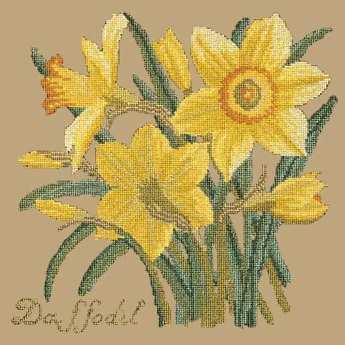 Daffodil