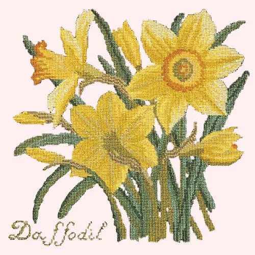 Daffodil