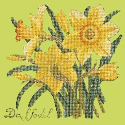 Daffodil