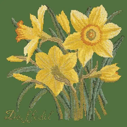 Daffodil