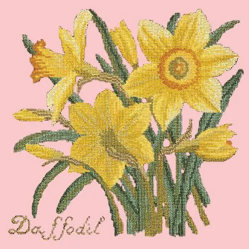 Daffodil