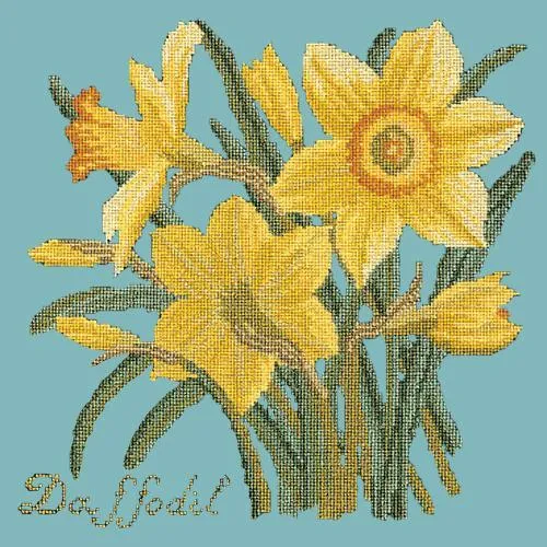 Daffodil