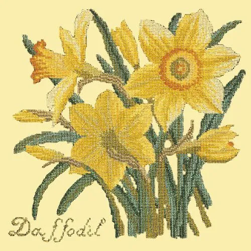 Daffodil