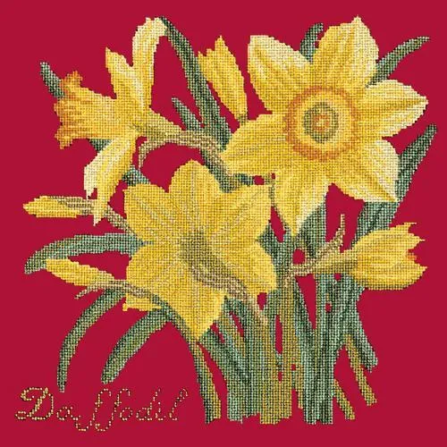 Daffodil