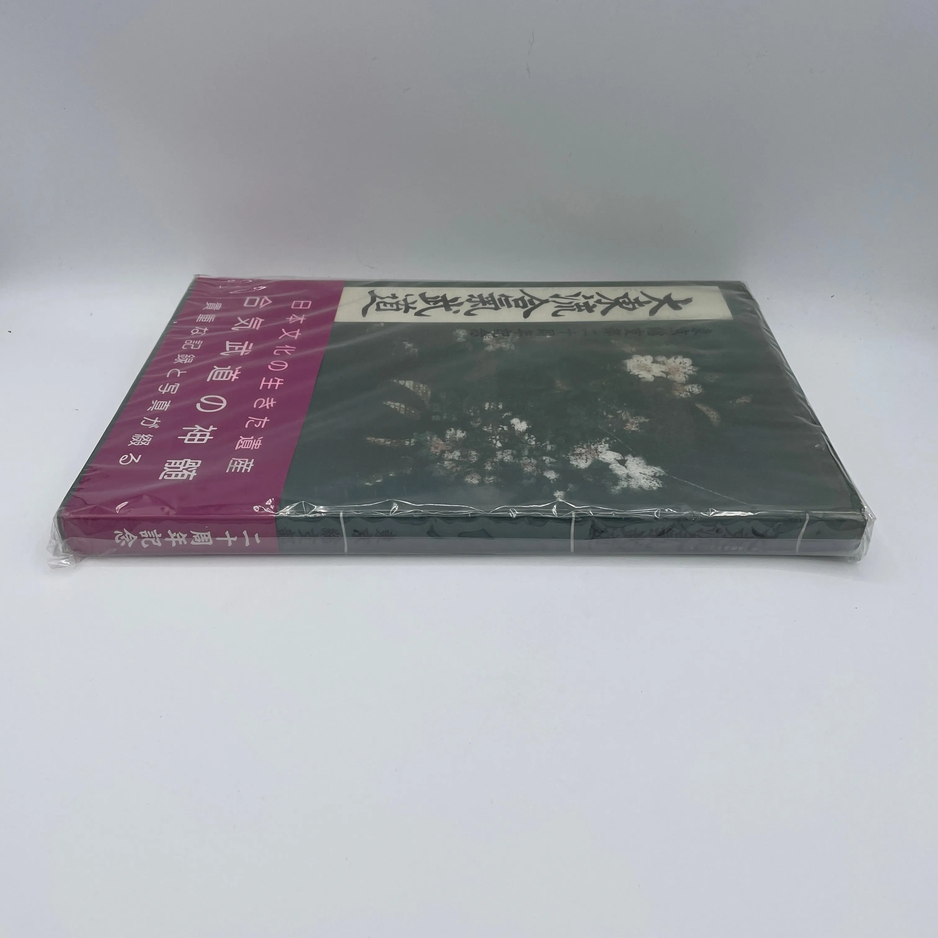 Daito Ryu Aikijujutsu Tokyo Branch 20th Anniversary Book (Preowned)