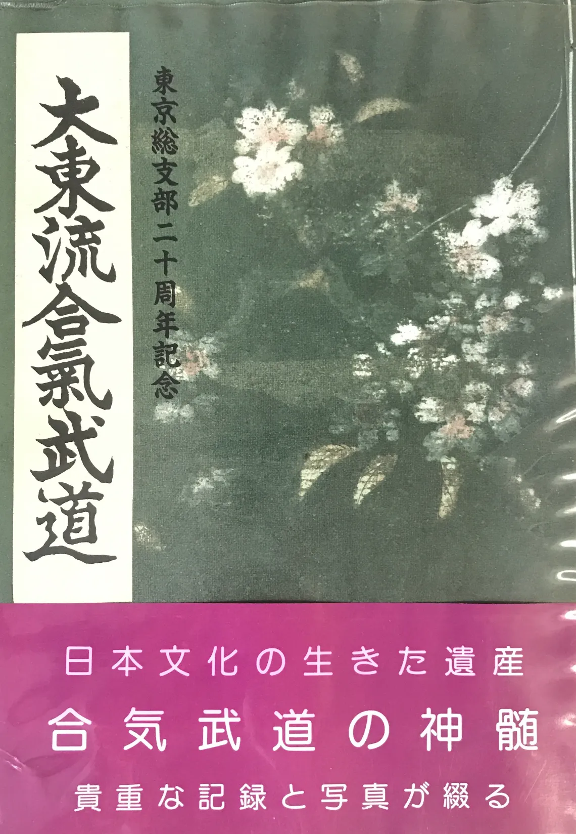 Daito Ryu Aikijujutsu Tokyo Branch 20th Anniversary Book (Preowned)