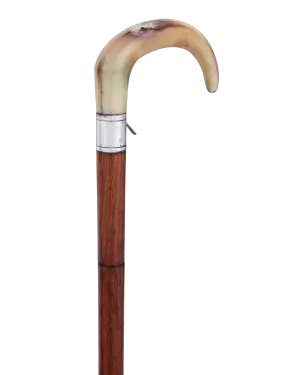 Dumonthier Gun Cane