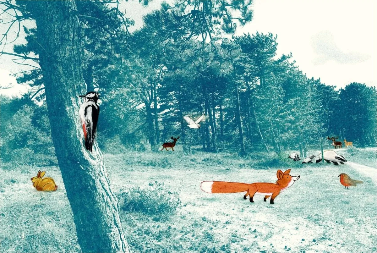 Edward Van De Vendel: Little Fox, illustrated by Marije Tolman