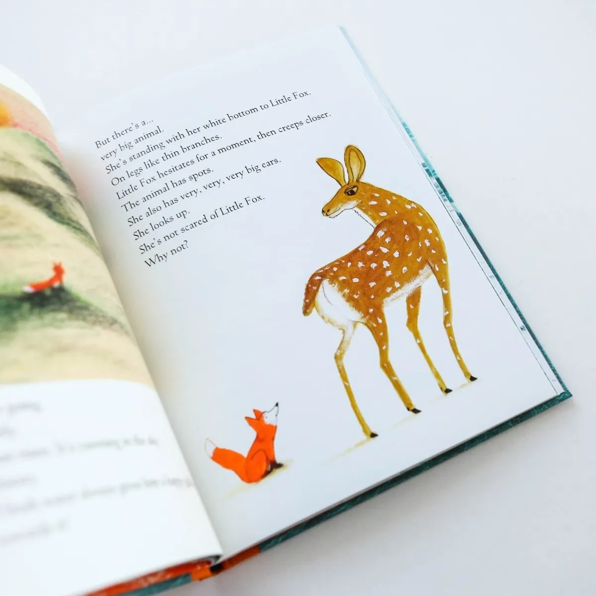 Edward Van De Vendel: Little Fox, illustrated by Marije Tolman