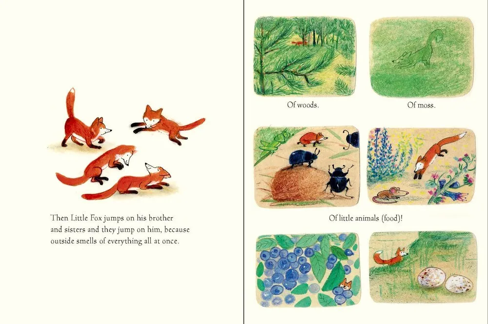 Edward Van De Vendel: Little Fox, illustrated by Marije Tolman