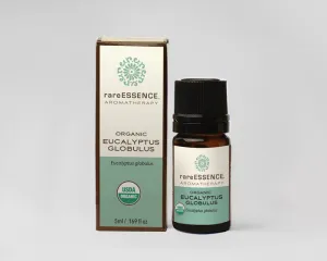 Eucalyptus Globulus (organic) – Essential Oil