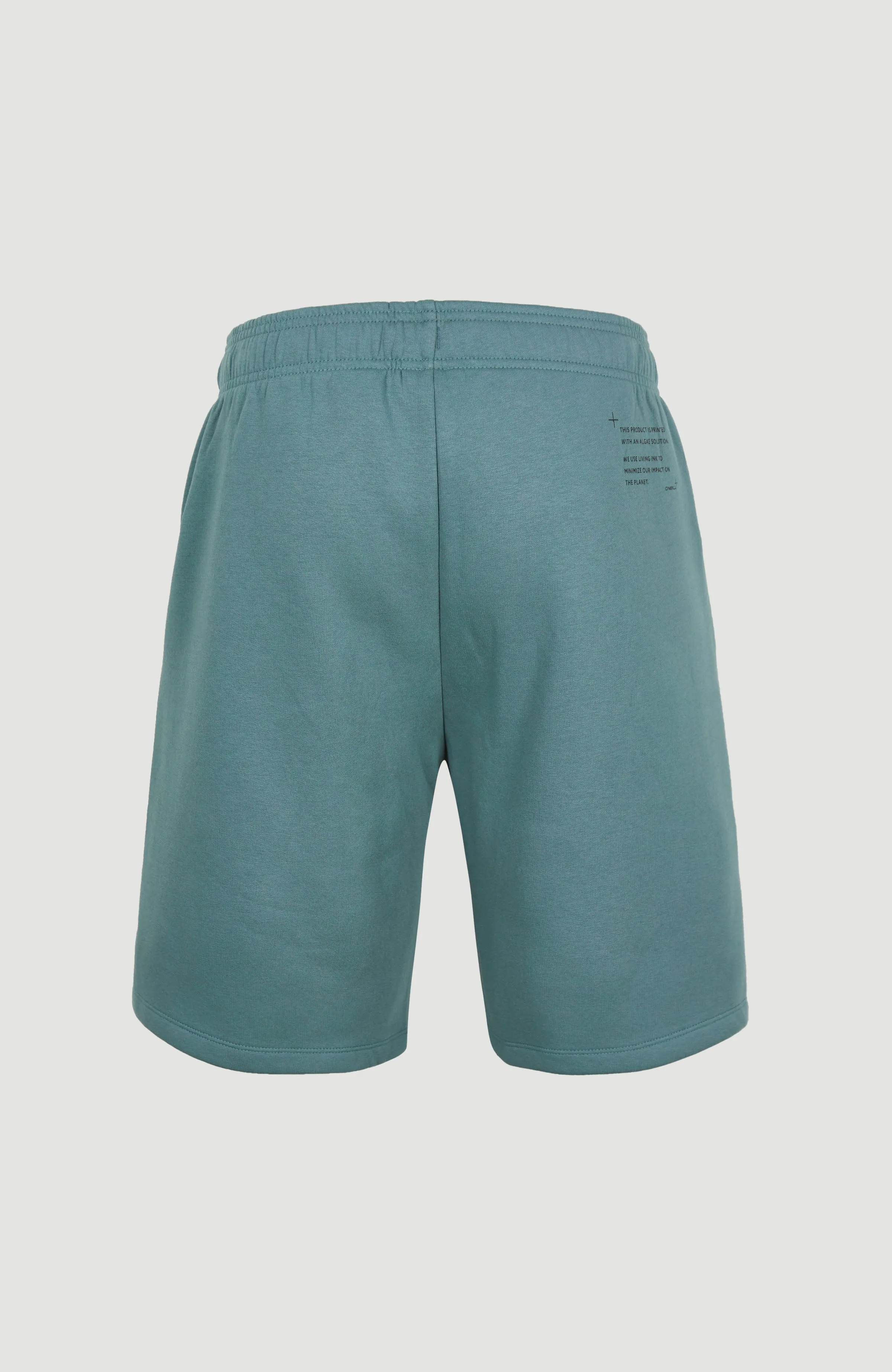 Future Surf Sweatshorts | North Atlantic