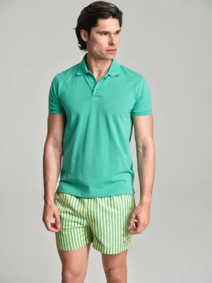 Havana Collection striped swim shorts