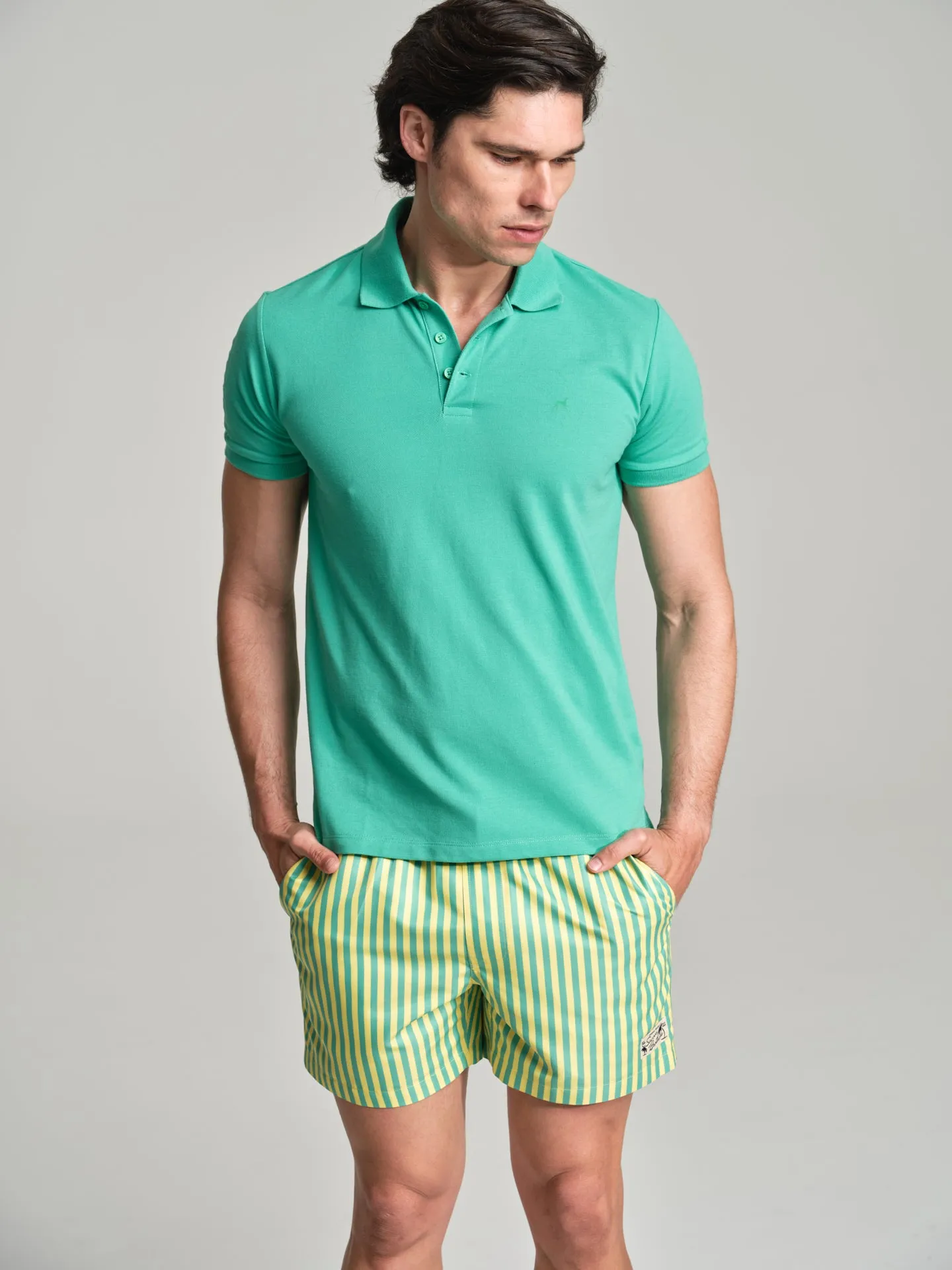 Havana Collection striped swim shorts