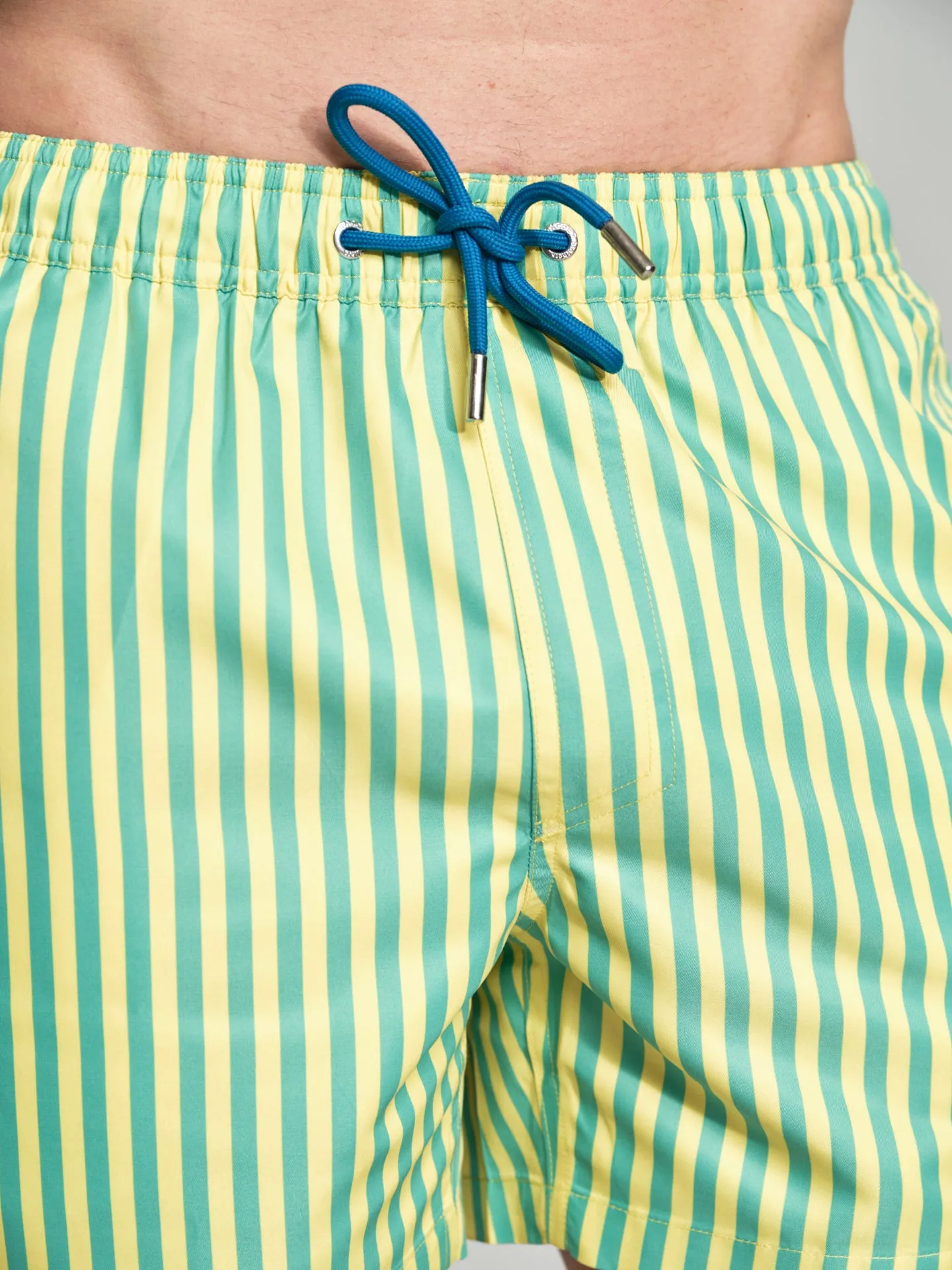 Havana Collection striped swim shorts