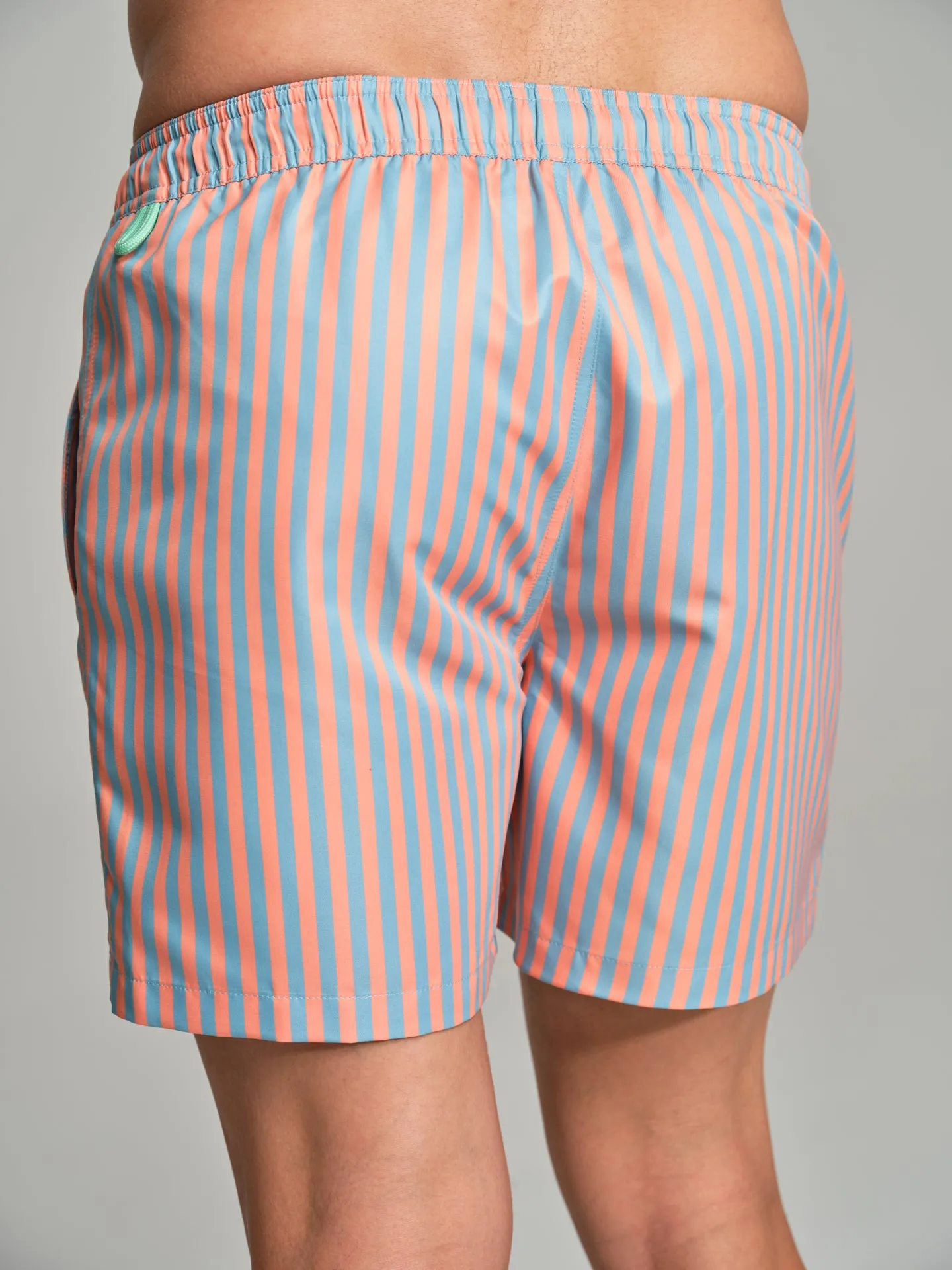 Havana Collection striped swim shorts