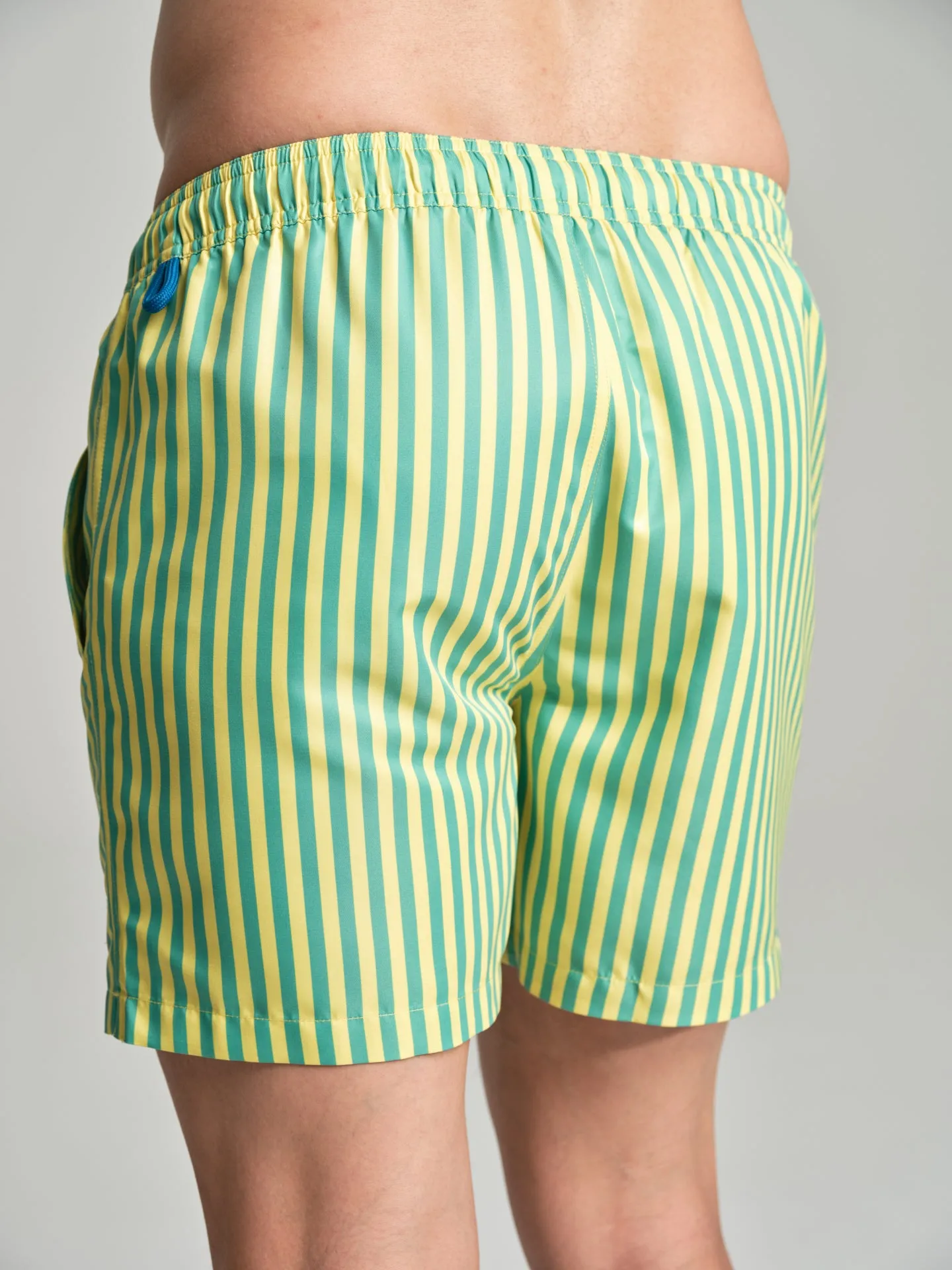 Havana Collection striped swim shorts