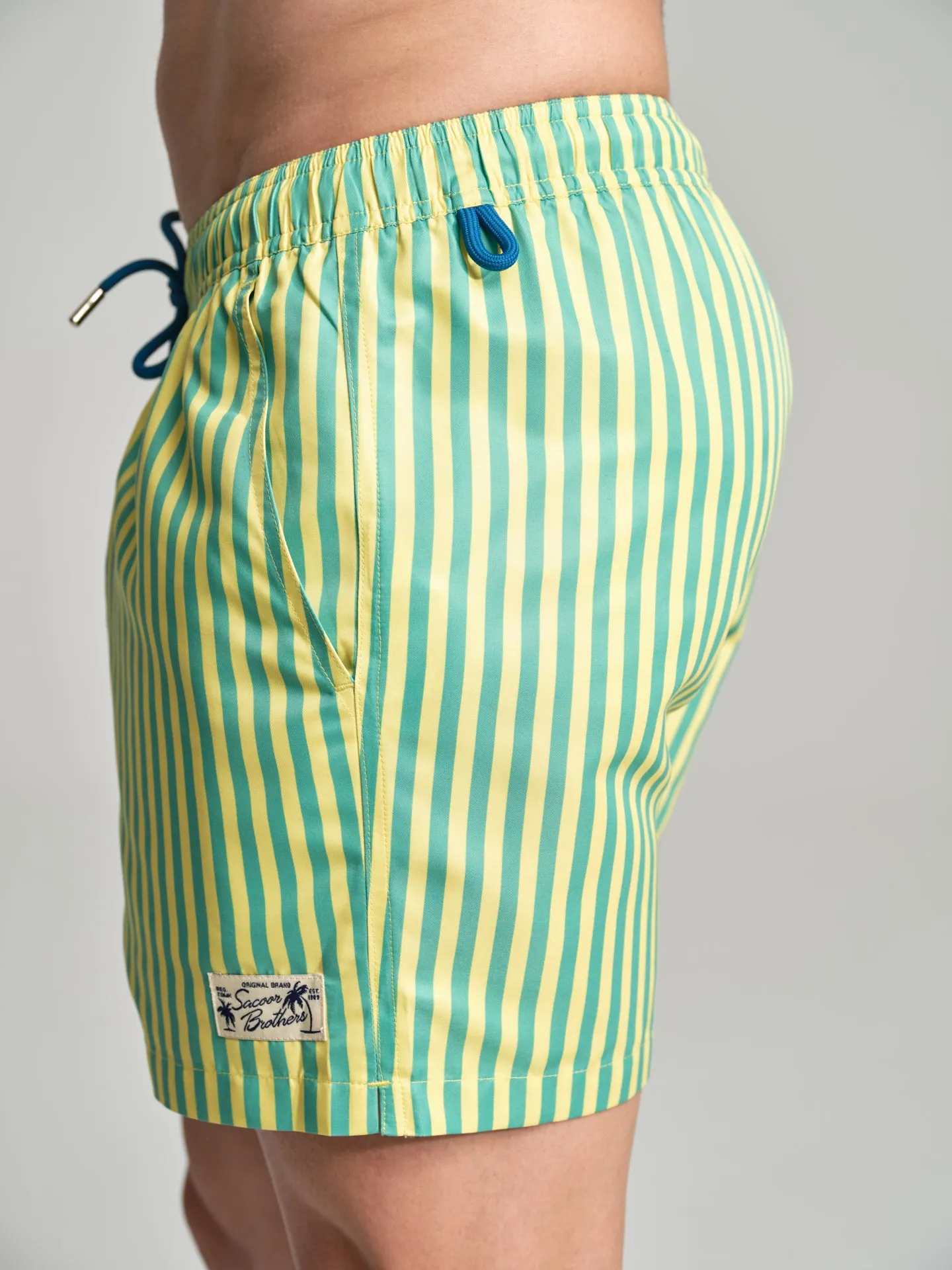 Havana Collection striped swim shorts