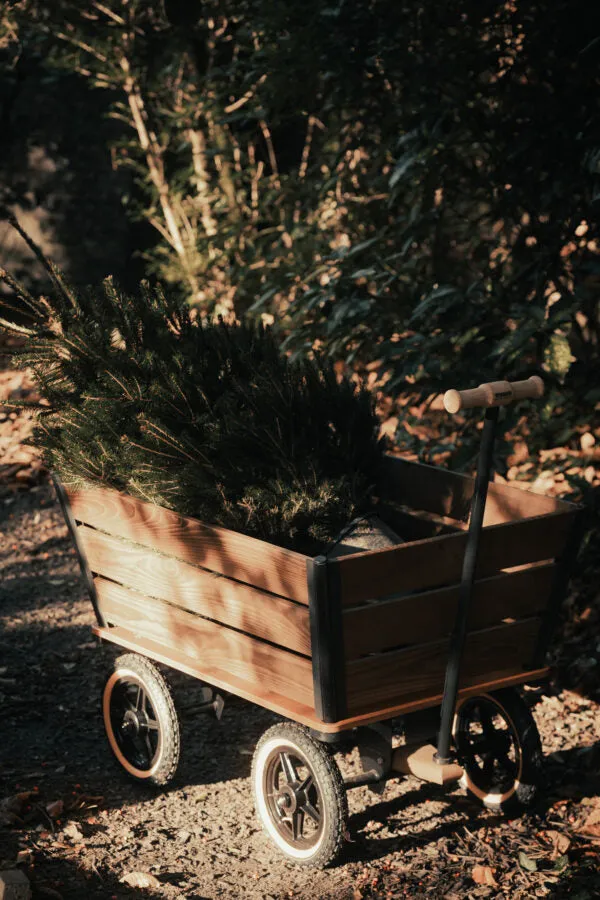 HERITAGE | PLANK WAGON