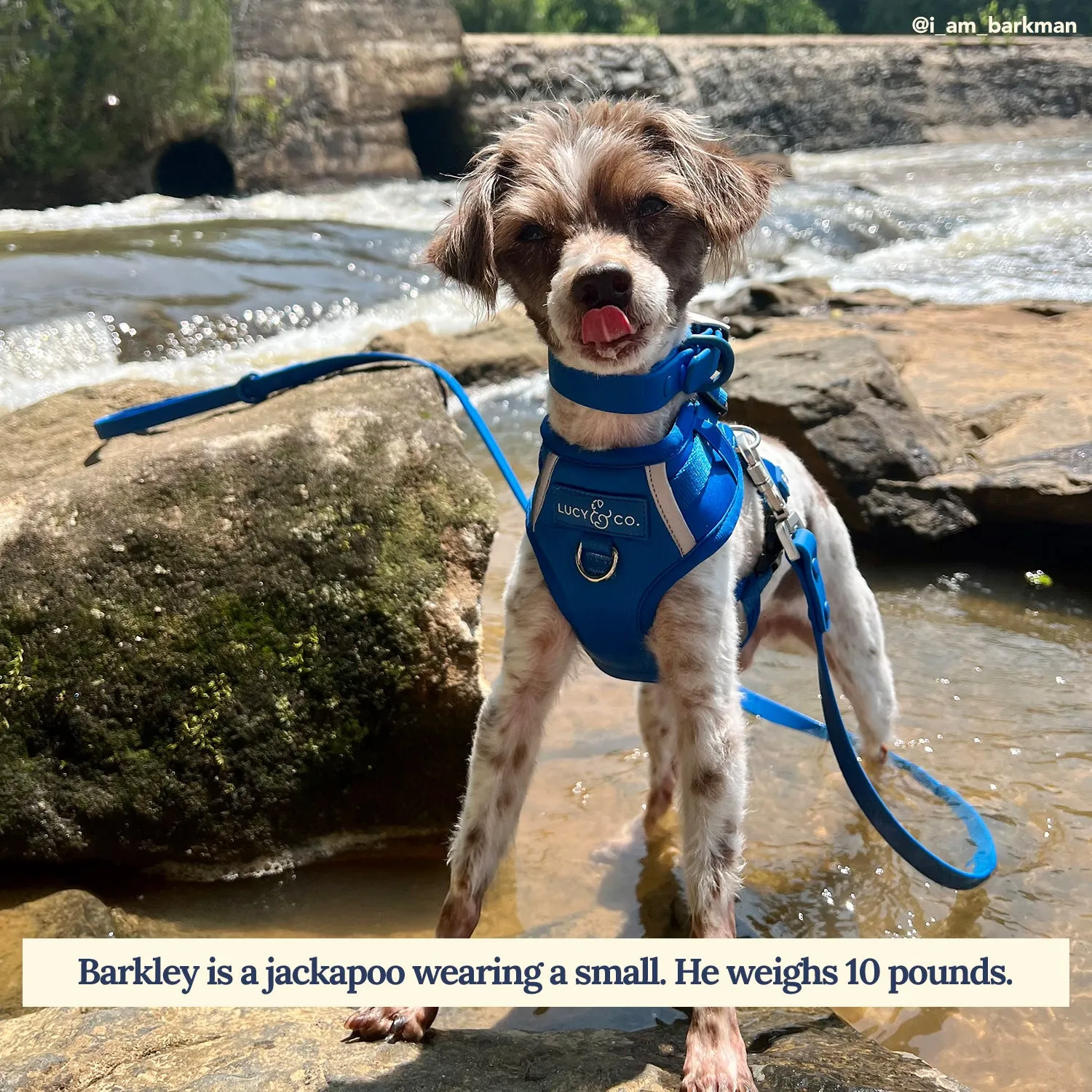 Indie Waterproof PVC Leash