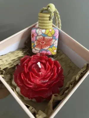 Ingenious Creator-Fragnance of Luxury: SCENTED PEONY CAR DIFFUSER COMBO||Floral FRAGRANCE||Handmade||Eco-friendly||100% Natural SOYWAX||Home&office Decor,Festival,Gifting,Birthdays.