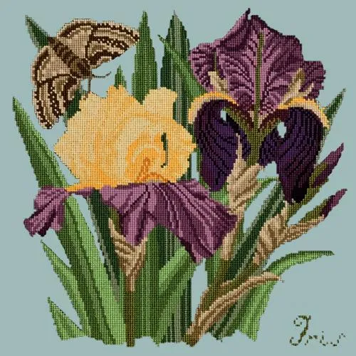 Iris