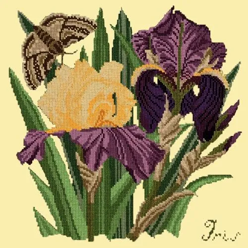 Iris