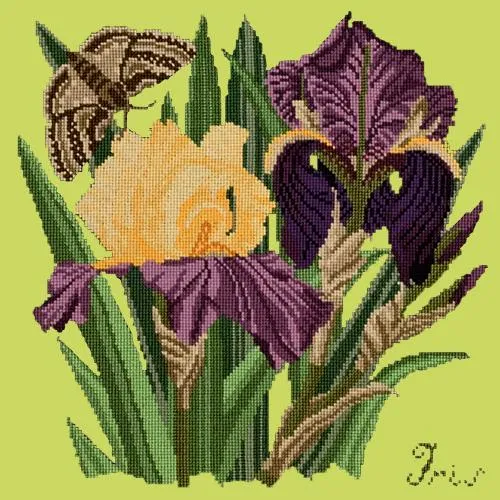 Iris