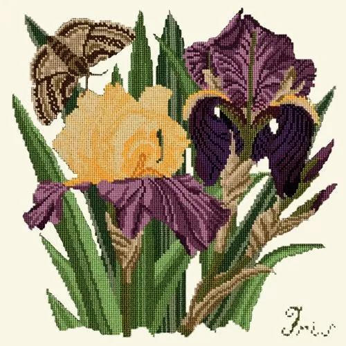 Iris