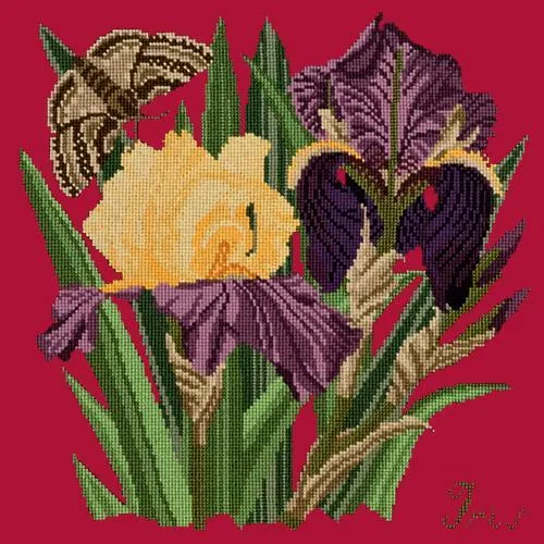Iris