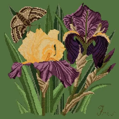 Iris