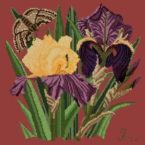 Iris