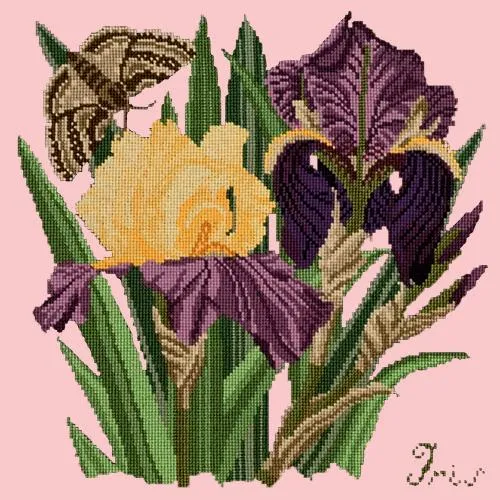 Iris