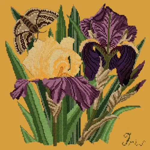 Iris