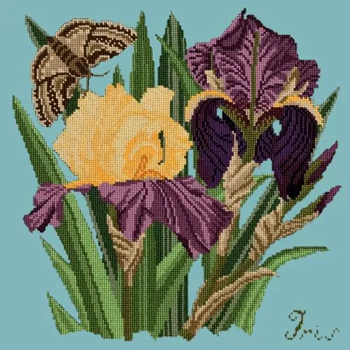 Iris