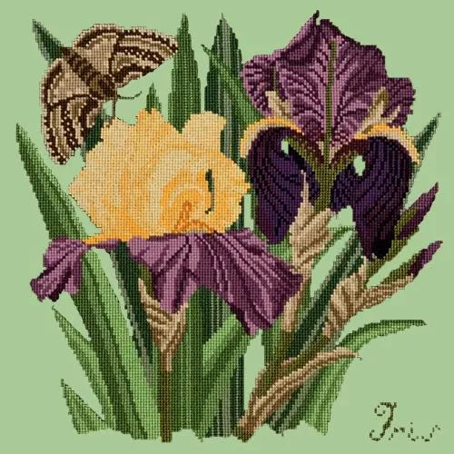 Iris